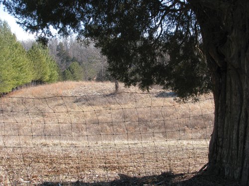 Property photo 31 - 97.5 Acres - Executive Home and Secluded Retreat
